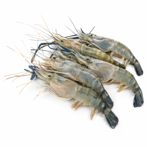 Udang Galah - 500gr