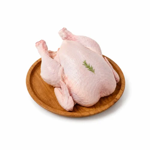 Ayam Putih/Broiler - Perekor