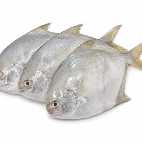 Ikan Bawal Hitam - 500gr