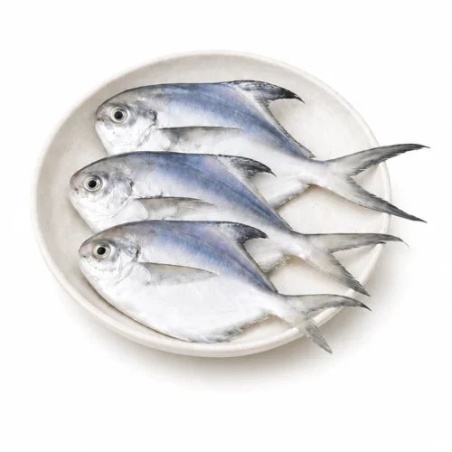 Ikan Bawal Putih - 500gr