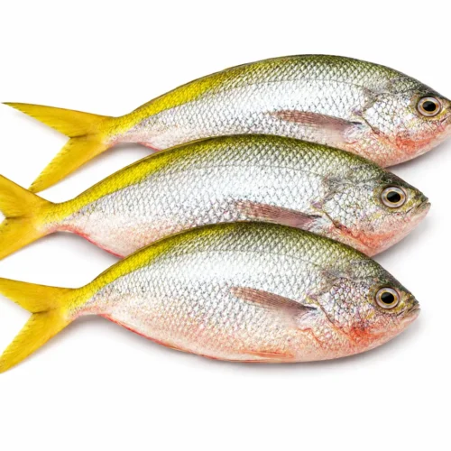 Ikan Ekor Kuning/Singapore - 500gr
