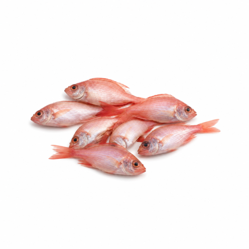 Ikan Nila - 500gr