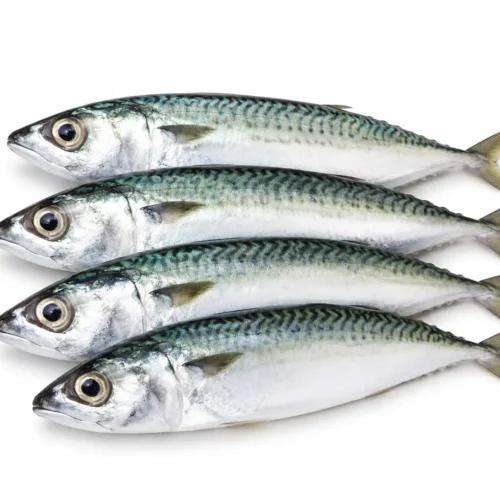 Ikan Sarden - 500gr