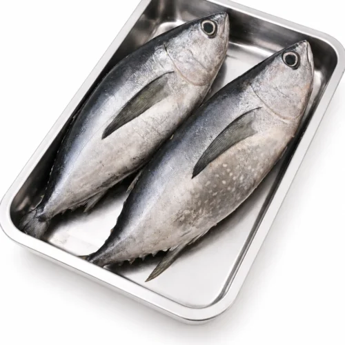 Ikan Tongkol Hitam (Utuh/Daging/Fillet/Kepala)