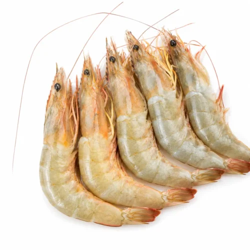 Udang Wangkang Laut - 500gr