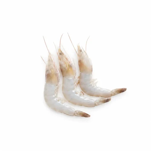 Udang Wangkang Loding - 500gr
